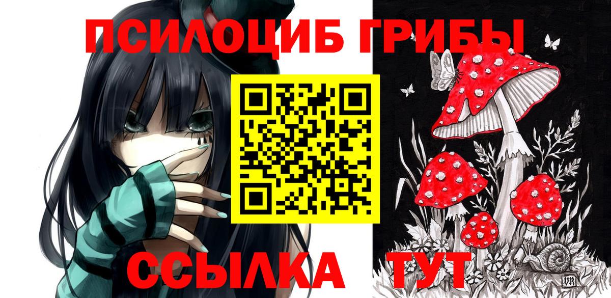 Егорьевск  Псилоцибиновые грибы Psilocybe  Вход с VPN  Псилоцибиновые грибы MAGIC MUSHROOMS 